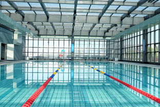 mk体育网址-世界游泳锦标赛中国运动员连续夺牌，世界游泳锦标赛中国运动员连续夺牌几次